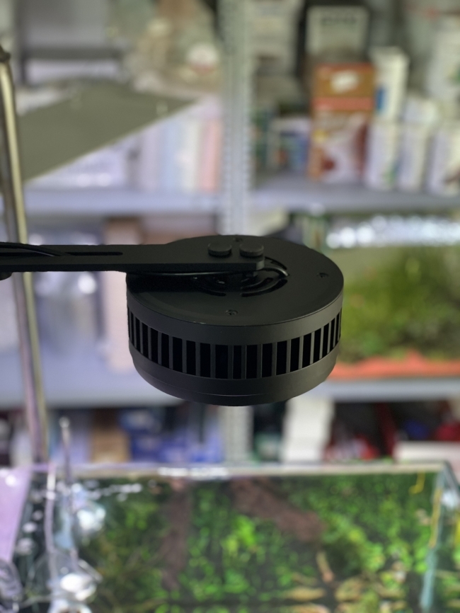 Đèn Led rọi WRGB+UV Kaokui-07 60W