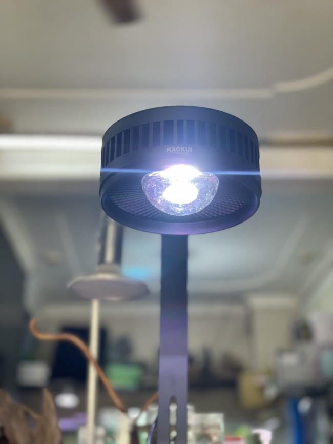 Đèn Led rọi WRGB+UV Kaokui-07 60W