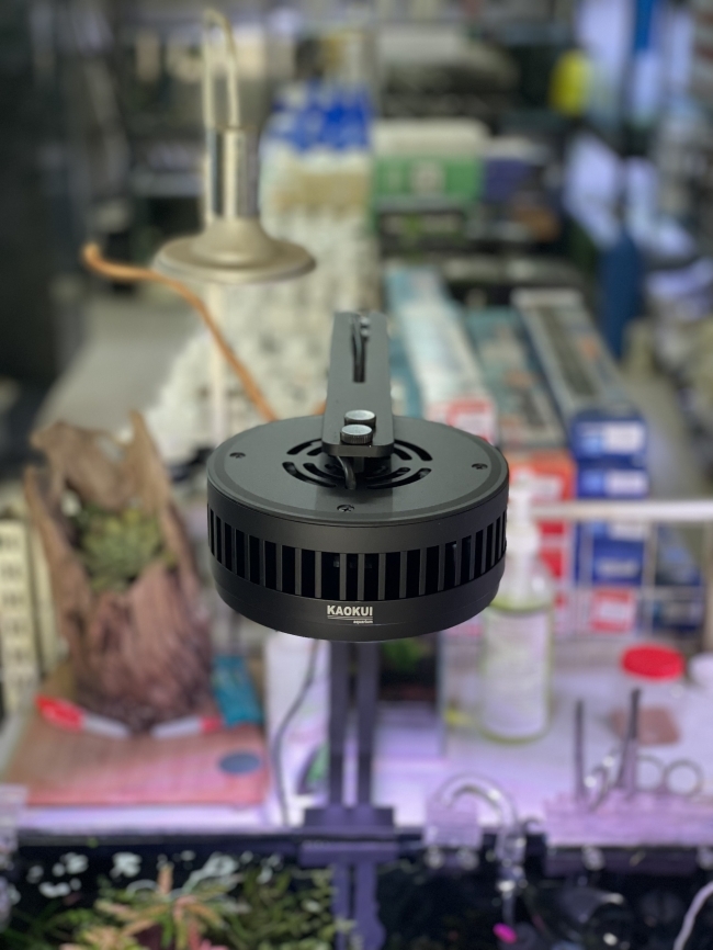 Đèn Led rọi WRGB+UV Kaokui-07 60W