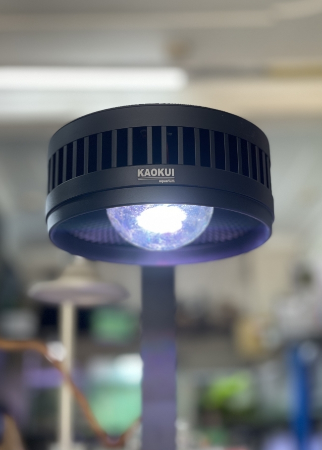 Đèn Led rọi WRGB+UV Kaokui-07 60W