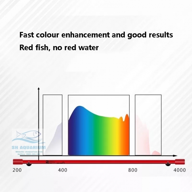 ĐÈN LED CÁ RỒNG MAYIN SUPER COLOUR CHUYÊN DỤNG CHO HUYẾT LONG 142CM