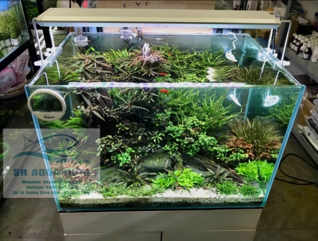 ĐÈN RGB AQUABLUE DEE-878 DÀNH CHO BỂ 120CM- 140CM