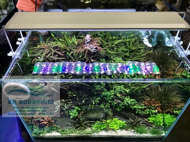 ĐÈN RGB AQUABLUE DEE-878 DÀNH CHO BỂ 120CM- 140CM