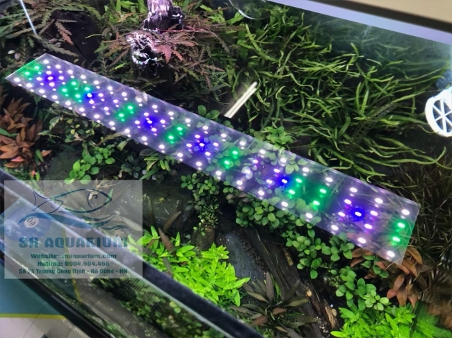 ĐÈN RGB AQUABLUE DEE-858 DÀNH CHO BỂ 90CM- 110CM