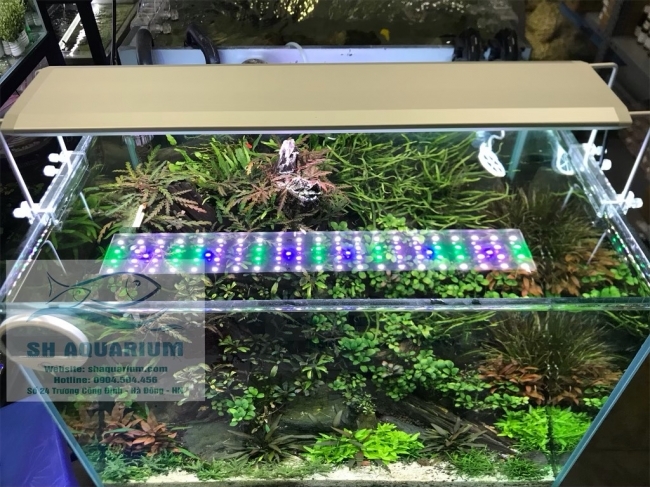 Đèn RGB AquaBlue DEE-818 dành cho bể 45cm- 55cm