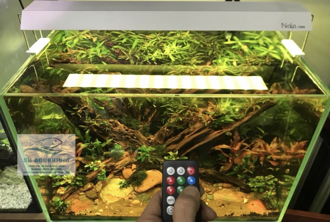 Đèn RGB Nala C900 thế hệ mới