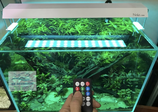 Đèn RGB Nala C900 thế hệ mới