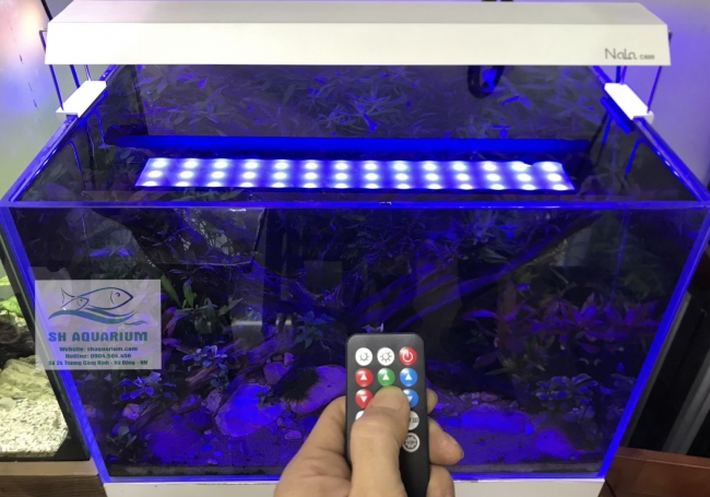 Đèn RGB Nala C900 thế hệ mới