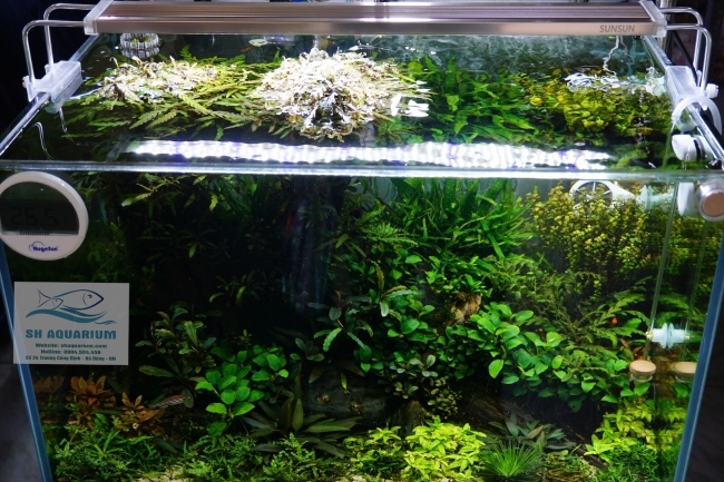 Đèn LED Sunsun ADE-500C