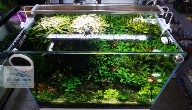 Đèn LED Sunsun ADE-500C