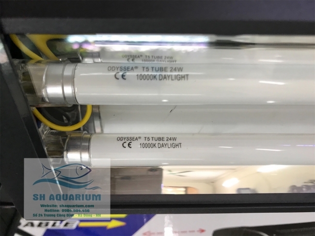 ĐÈN ODYSSEA DUAL PRO T5HO 150CM
