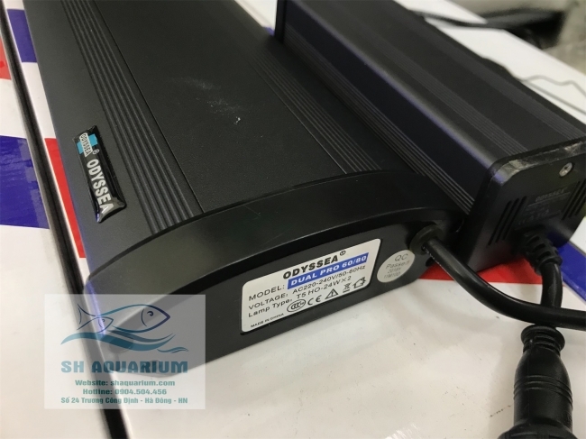 Đèn Odyssea Dual Pro T5HO 60cm