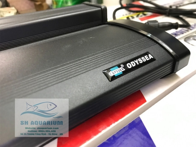 Đèn Odyssea Dual Pro T5HO 60cm