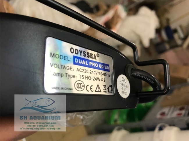 Đèn Odyssea Dual Pro T5HO 60cm