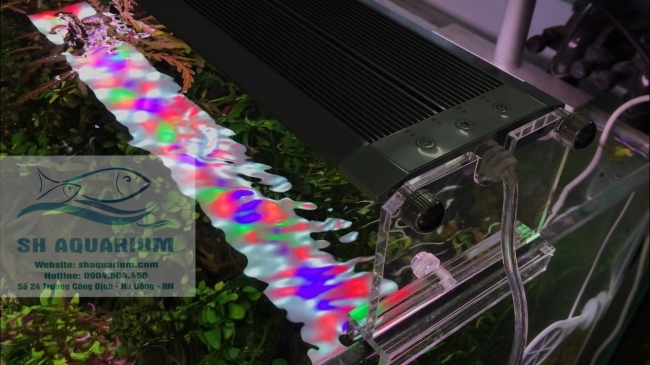 ĐÈN LED WEEK RAPTOR RGB D90CM