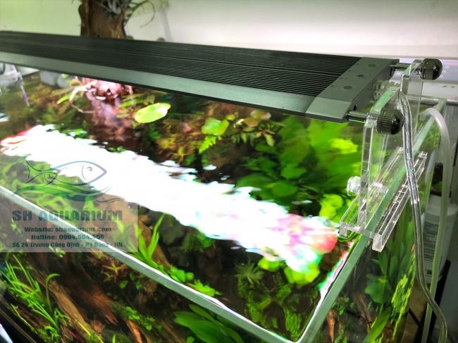 ĐÈN LED WEEK RAPTOR RGB D45CM