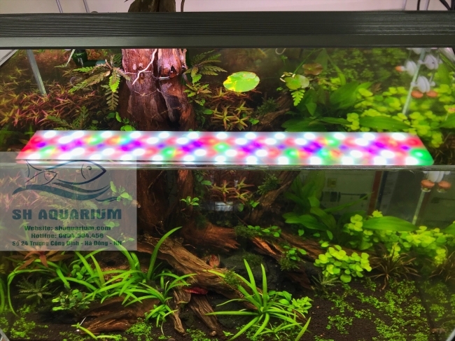 ĐÈN LED WEEK RAPTOR RGB D90CM