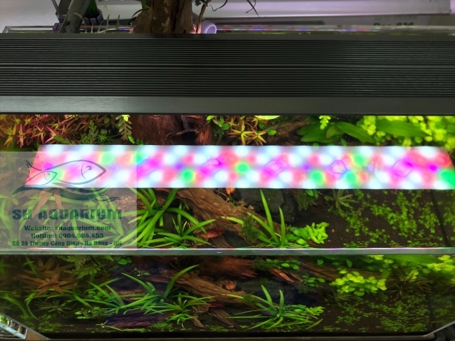 ĐÈN LED WEEK RAPTOR RGB D120CM