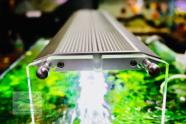 ĐÈN WEEK AQUA M1200 PRO