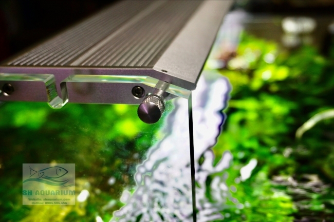 Đèn Week Aqua M450 Pro
