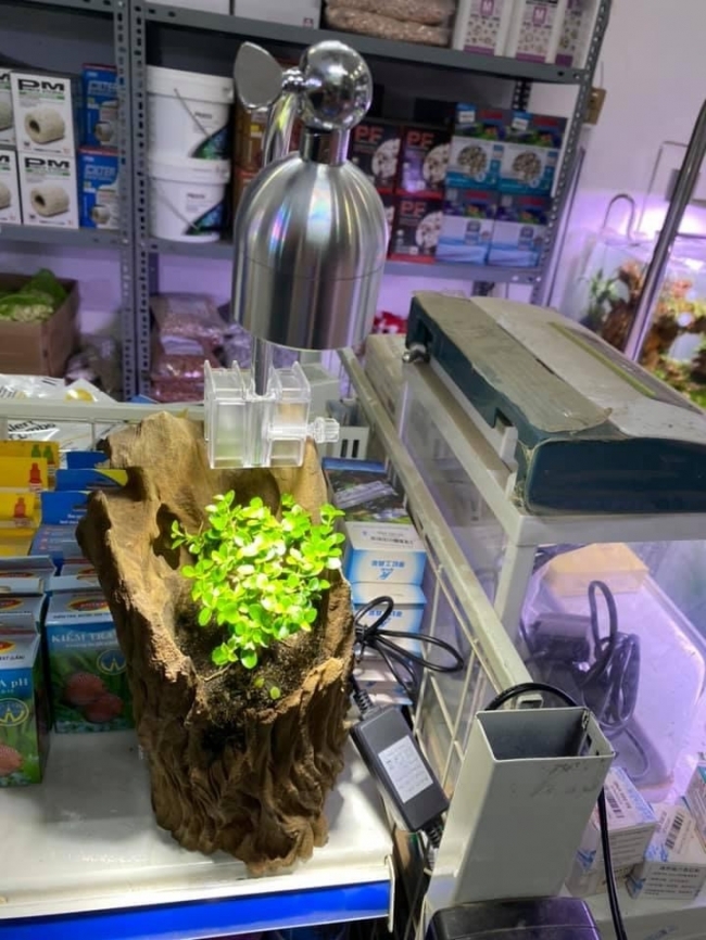 ĐÈN XINMA 7W 3 CHẾ ĐỘ