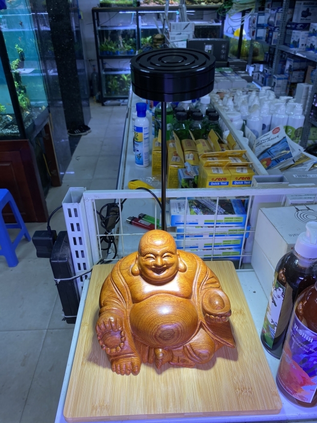 Đèn Đế Gỗ 7W
