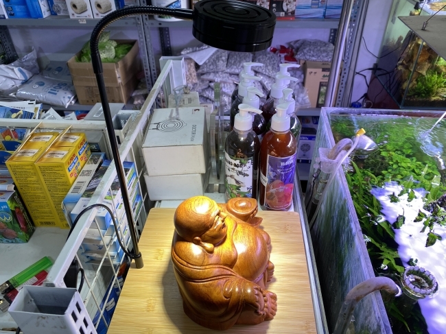 Đèn Đế Gỗ 7W