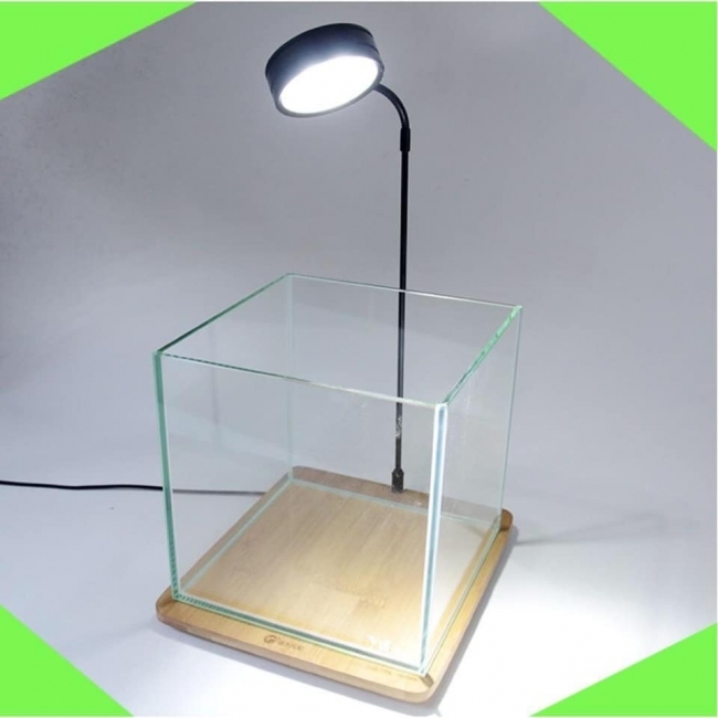 Đèn Đế Gỗ 7W