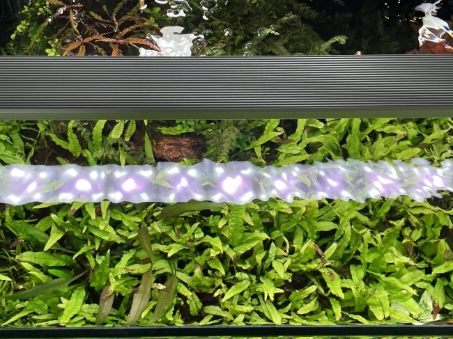 ĐÈN CHIHIROS B-SERIA B120