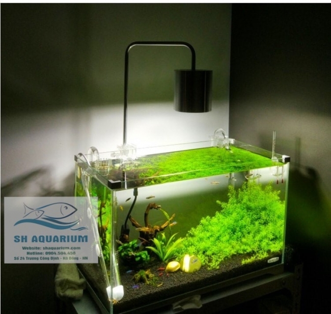 ĐÈN LED RỌI XINMA 12W