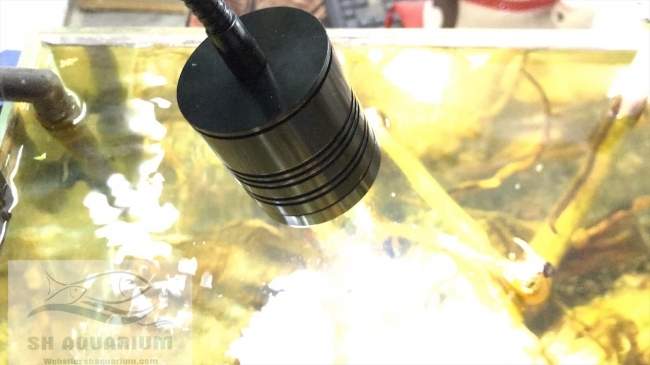 Đèn Led rọi kẹp thành bể 3/5/7w