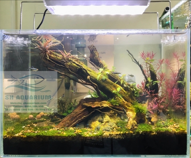 ĐÈN LED TRẮNG MÁNG NHÔM AQUABLUE SIÊU SÁNG 30cm