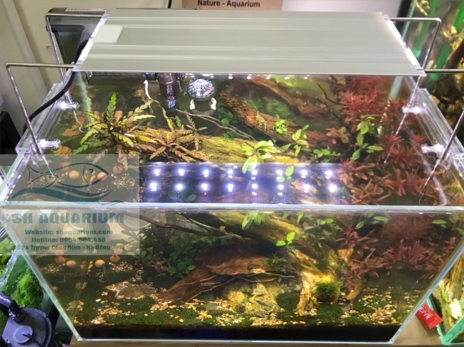 ĐÈN LED TRẮNG MÁNG NHÔM AQUABLUE SIÊU SÁNG 120cm