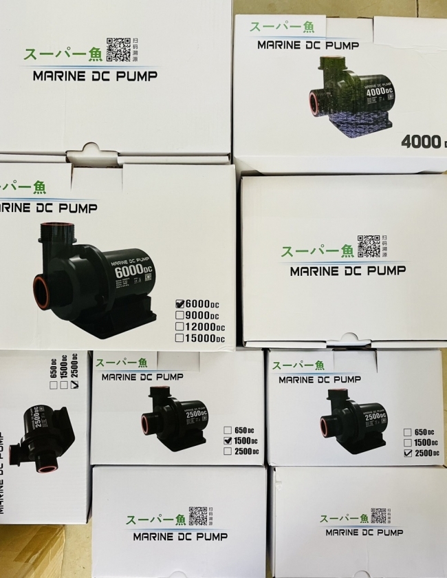 Máy bơm DC 24V Marine 1000 (12W)