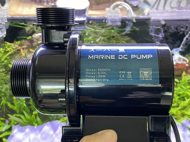 MÁY BƠM DC 24V MARINE 6000 (50W)