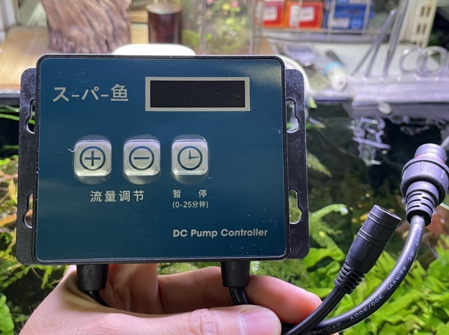 MÁY BƠM DC 24V MARINE 6000 (50W)
