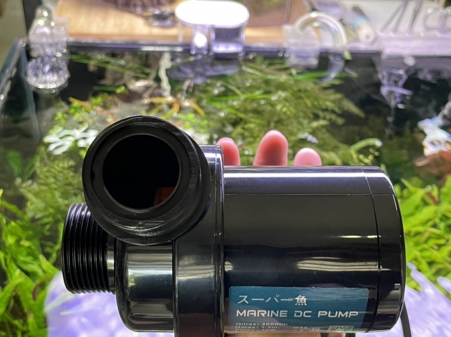 MÁY BƠM DC 24V MARINE 6000 (50W)