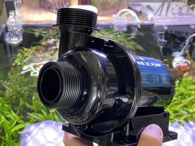 MÁY BƠM DC 24V MARINE 6000 (50W)