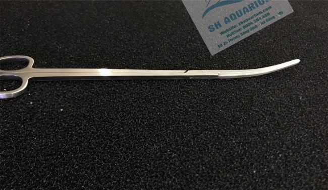 Kéo cong tỉa cây HH 27