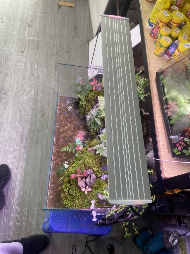 ĐÈN LED COCO WRGB R1500