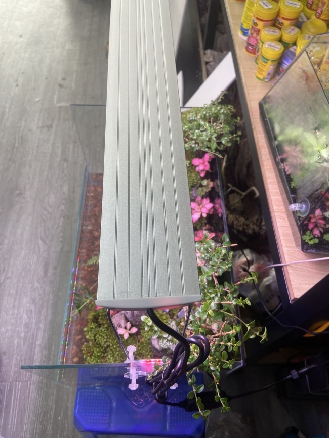 ĐÈN LED COCO WRGB R1500