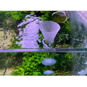 Bộ ống và chén cho tép ăn