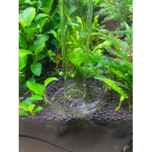 Bộ ống và chén cho tép ăn