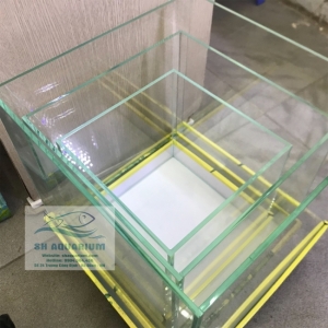 Bể cubic 20cm siêu trong