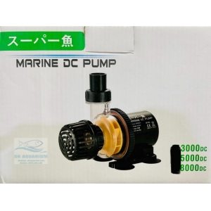 Máy Bơm Marine DC 8000