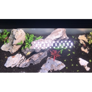 Đèn Chihiros C2 RGB