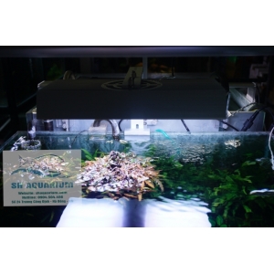 Đèn Led Cao Cấp  Chihiros X400