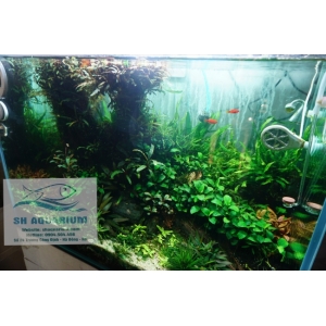 Đèn Led Cao Cấp  Chihiros X400