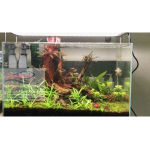 ĐÈN CHIHIROS WRGB2 90CM