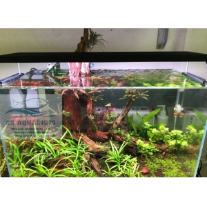 Đèn Chihiros WRGB2 60cm